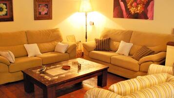 Télévision, cheminée, lecteur de DVD