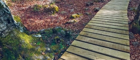 Jardines del alojamiento