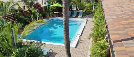 Una piscina al aire libre, sombrillas, sillones reclinables de piscina