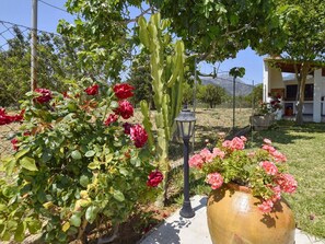 Property grounds - Gemütliches Ferienhaus in Selva mit Privatem Poo by Interhome (Selva)