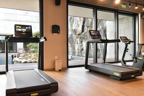 Fitness facility - Hotel Hayashi (Sofia)