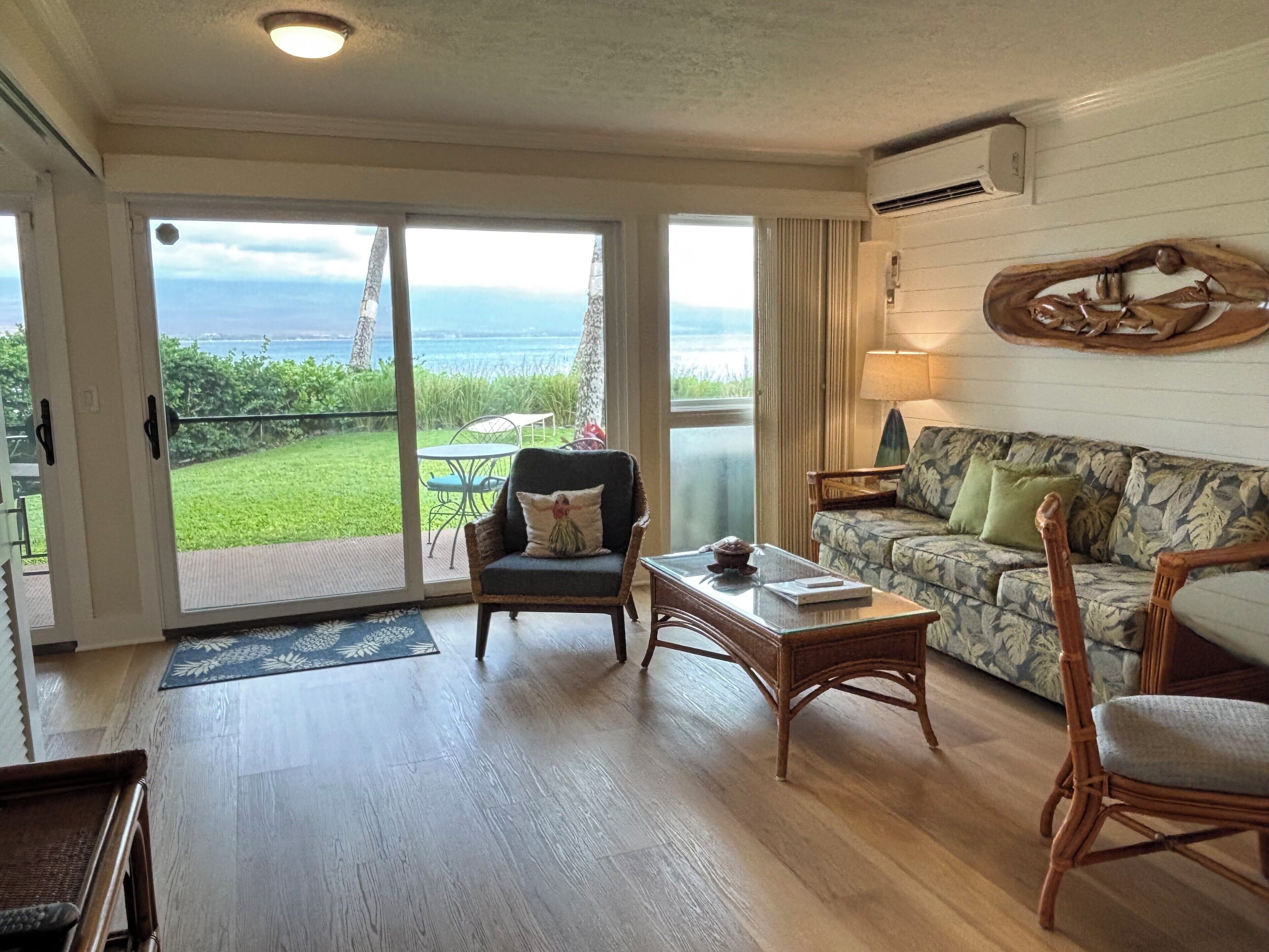 Televisión, reproductor de DVD y libros 