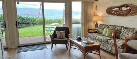 Televisión, reproductor de DVD y libros