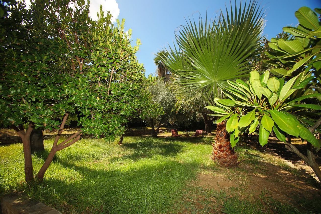 Parco della struttura
