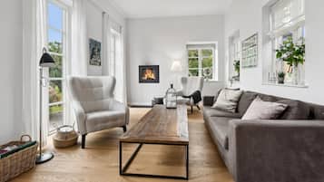 Televisión y chimenea