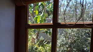 Interior - "Ecofinca" mit privatem Pool by Interhome (Tijarafe)