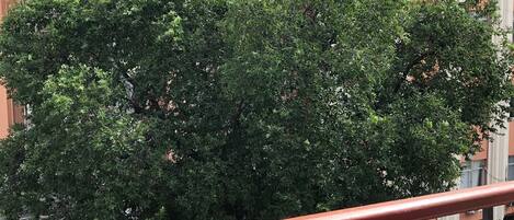 Appartement Classique