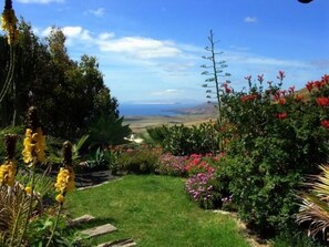 Property grounds - Casa Feliz by Interhome (La Asomada)