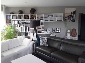 TV, video games, books, stereo - Contemporary house in quiet country setting, residential. (Yssingeaux, Haute-Loire,)