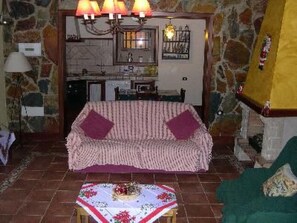 Televisión, chimenea y reproductor de DVD 