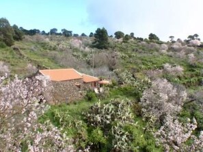 Exterior - für 3 Personen  + 2 Kinder ca. 60 m² in El Pinar, El Hierro by Interhome (El Pinar de El Hierro)