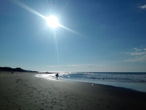 Strand