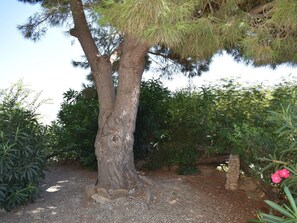 Property grounds - Finca Carrulo mit privatem Pool by Interhome (Competa)