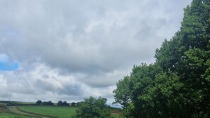 Un paysage rural caractérisé par de vastes champs verdoyants, de nombreux arbres et un ciel nuageux.