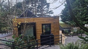 Une petite cabane en bois, dotée de grandes fenêtres et d’une porte noire, entourée de gravier et de verdure.