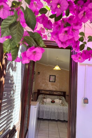 Internet - Gästezimmer 'Room' mit Grill by Interhome (Capo Vaticano)