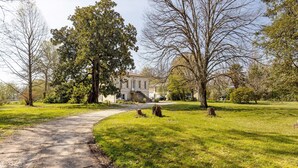 Un chemin menant à un bâtiment entouré d’arbres et d’herbe.