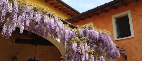 Detalle del exterior