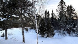 Un paysage enneigé avec des arbres et un ciel dégagé.