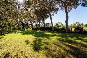 Garden - Hotiday Grosseto Podere (Grosseto)