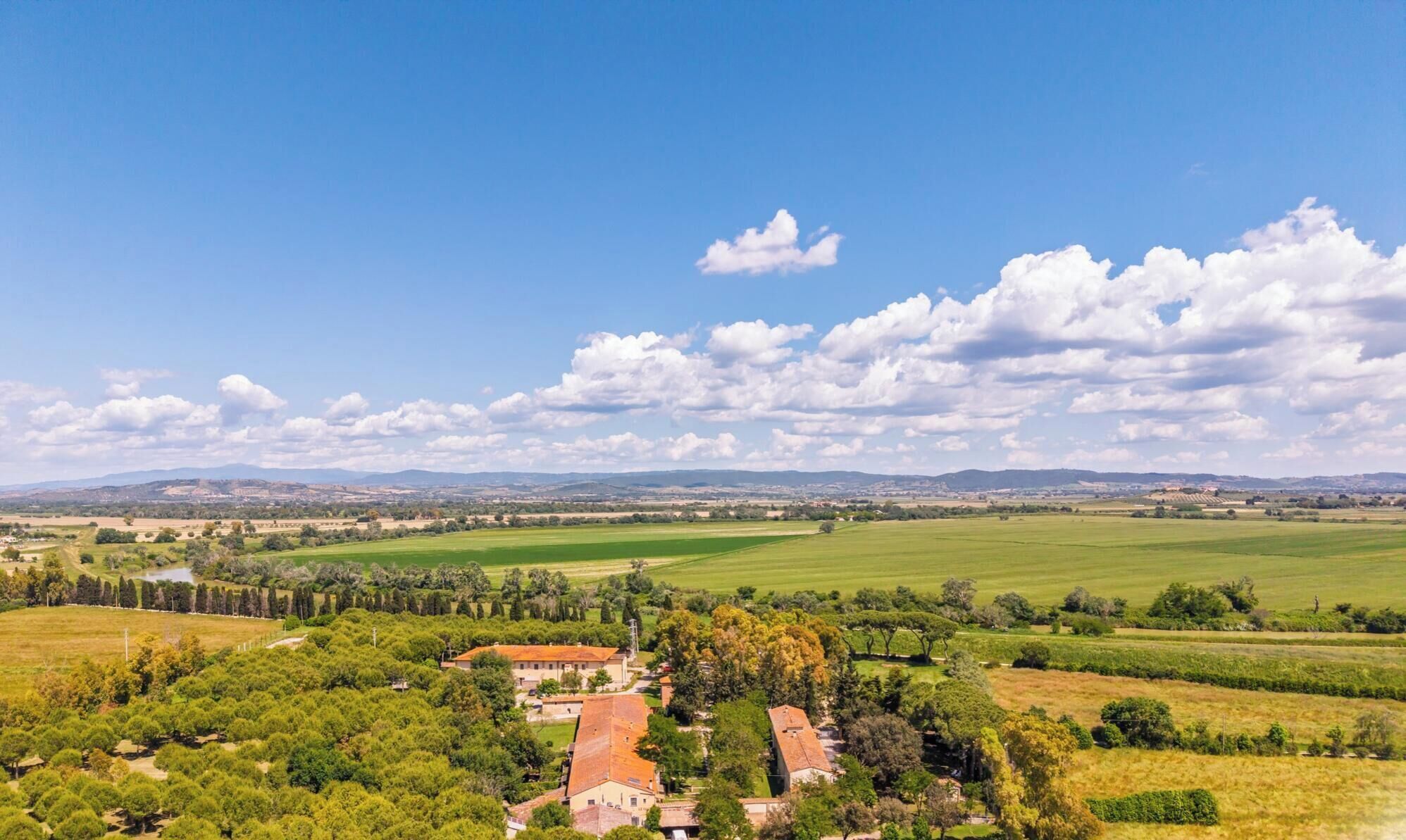 Paisaje rural con campos, árboles y algunos edificios.