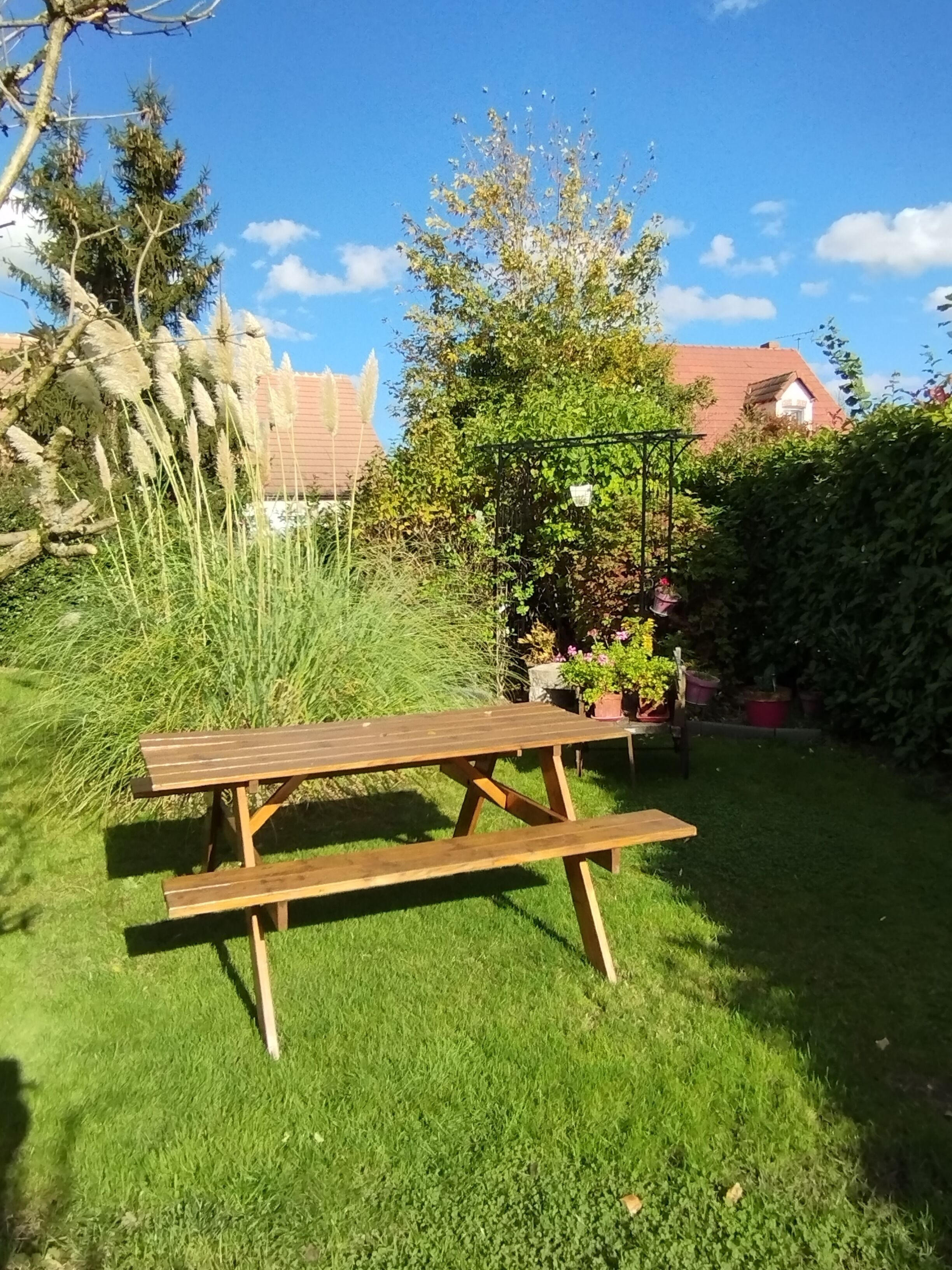 A wooden picnic table in a grassy garden with a variety of plants and a house in the background.