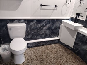 淋浴设施、毛巾、卫生纸