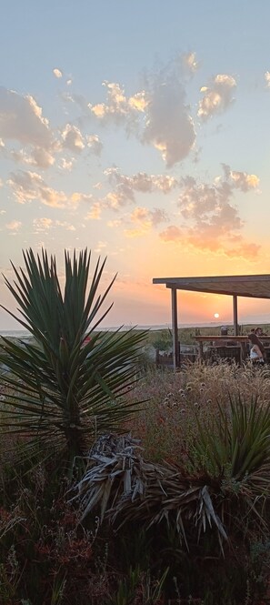 Outdoor dining - Sun And Beach Caparica (Costa da Caparica)
