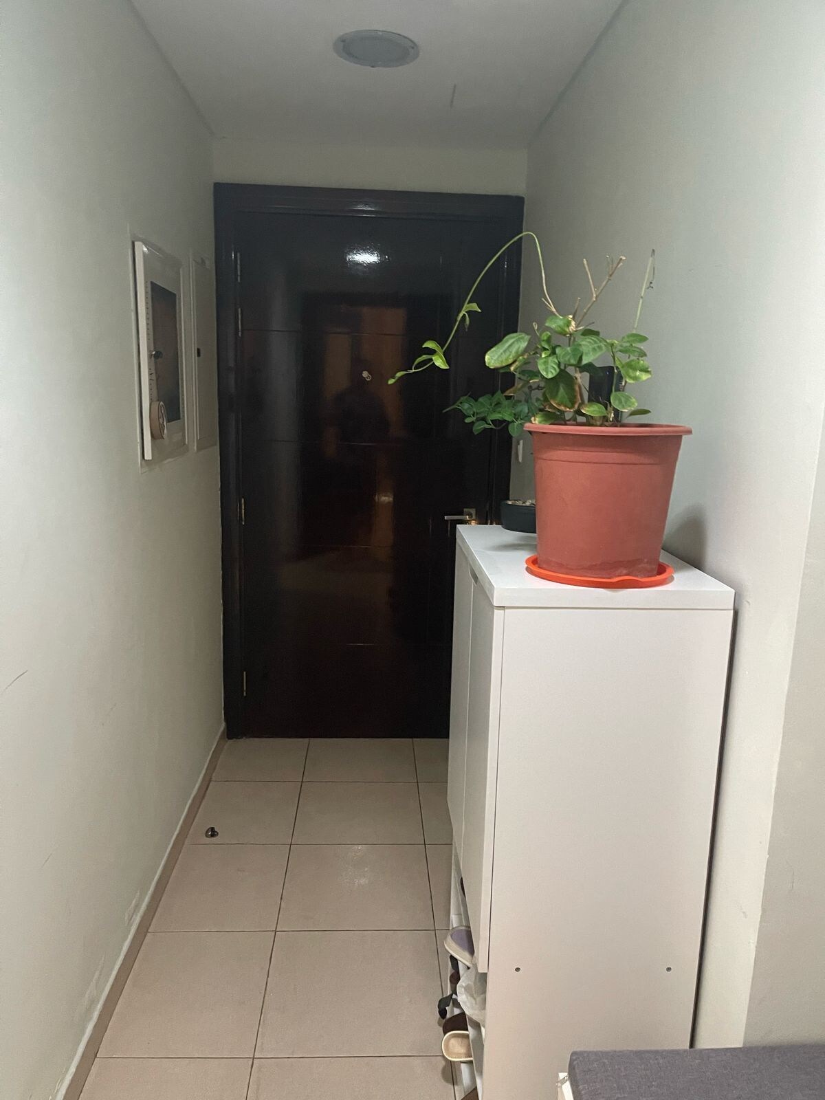 オーナーのプロフィール画像