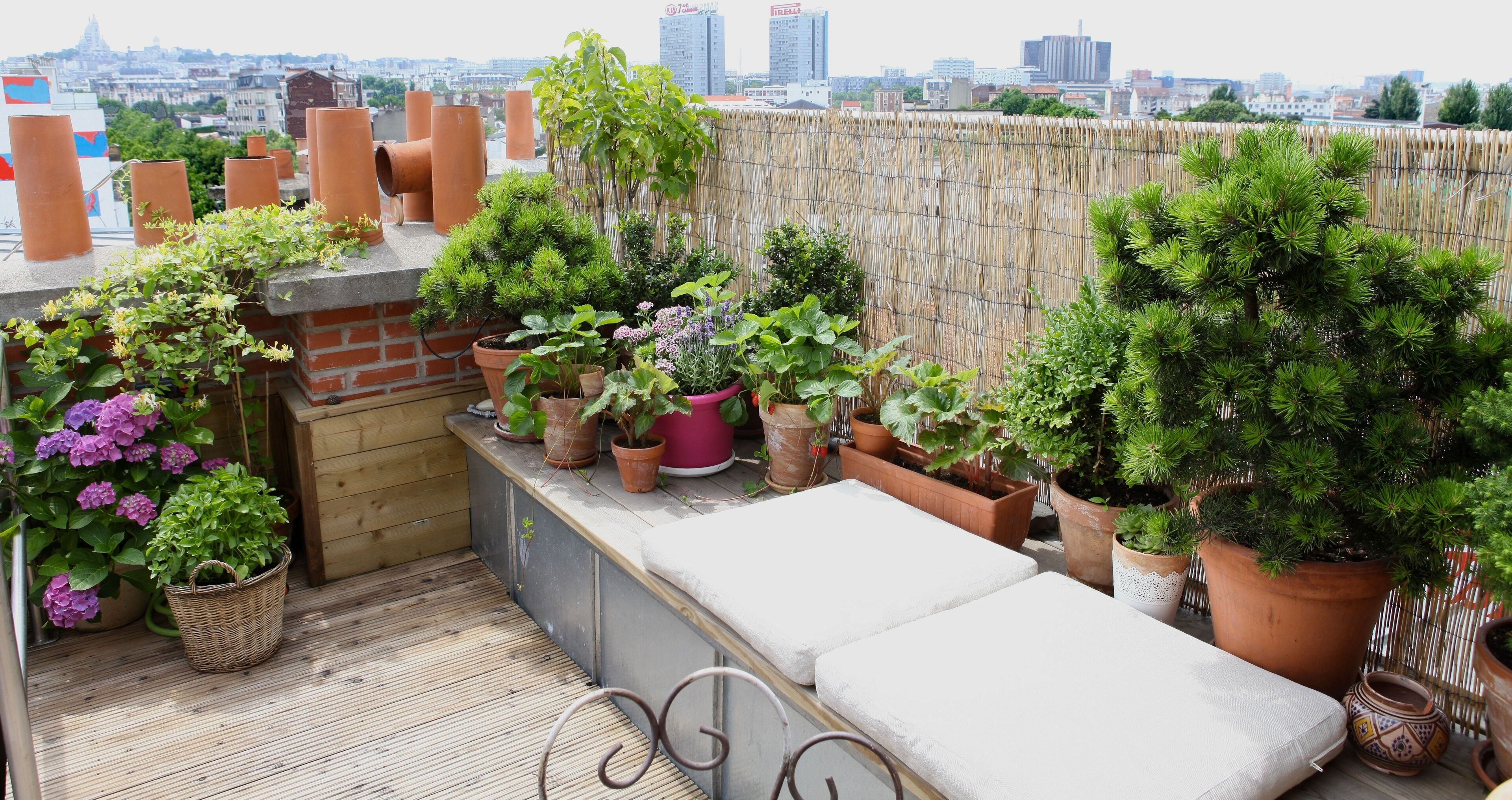 テラス / パティオ