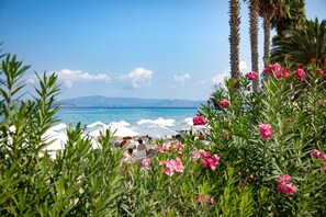 Room - Olive Grove Panorama Suite Pende (Kassandra)