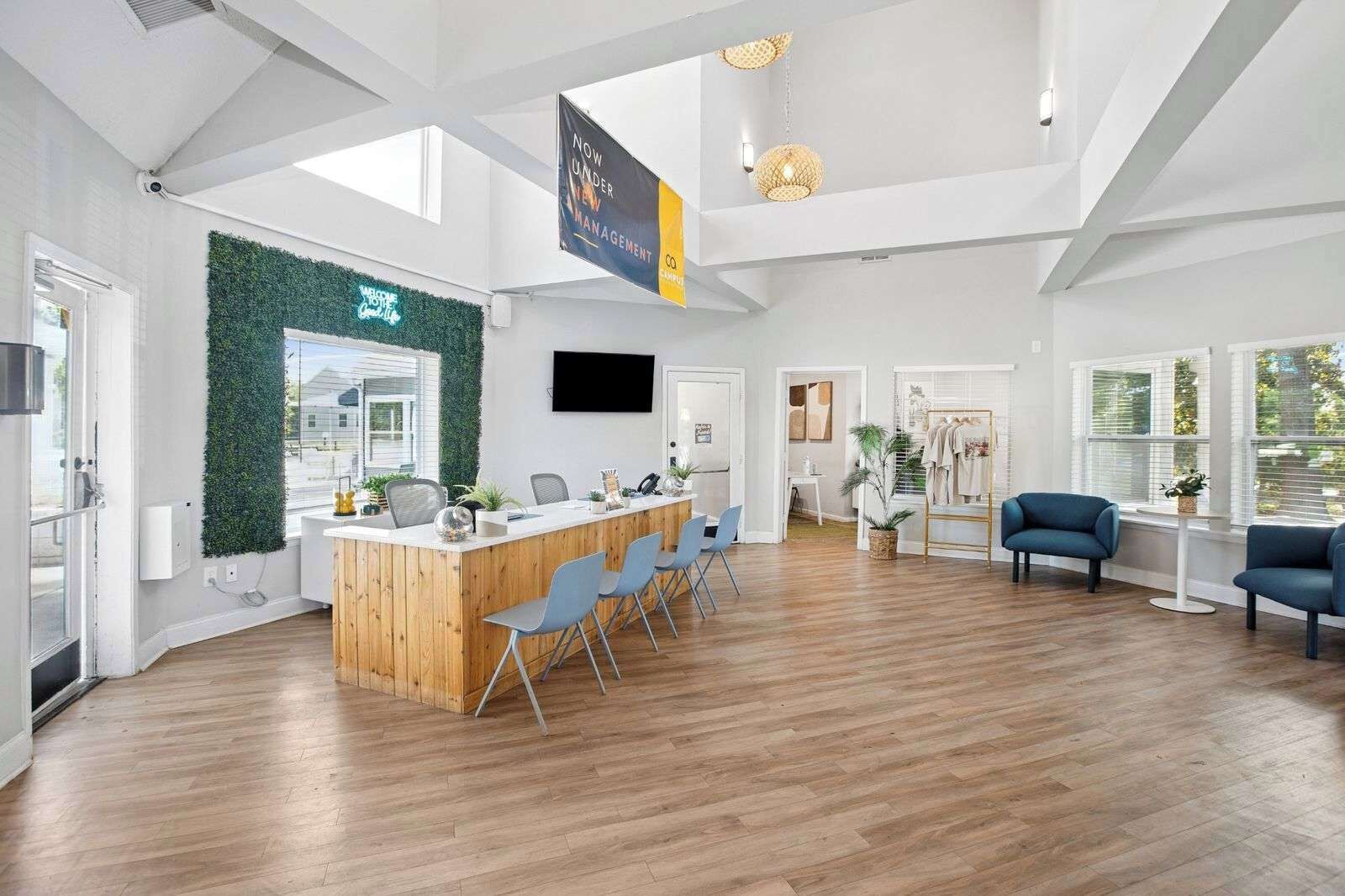 A modern office space with a wooden reception desk, blue chairs, and a green wall.