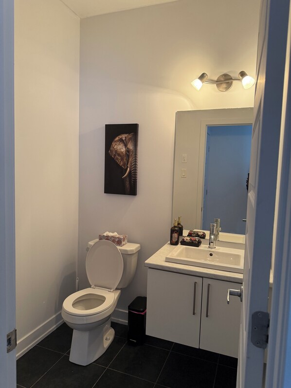 A bathroom with a toilet, a sink, a mirror, and a wall-mounted light fixture. - Premium comfort, stylish, spacious, and fully equipped apartment (Gatineau)