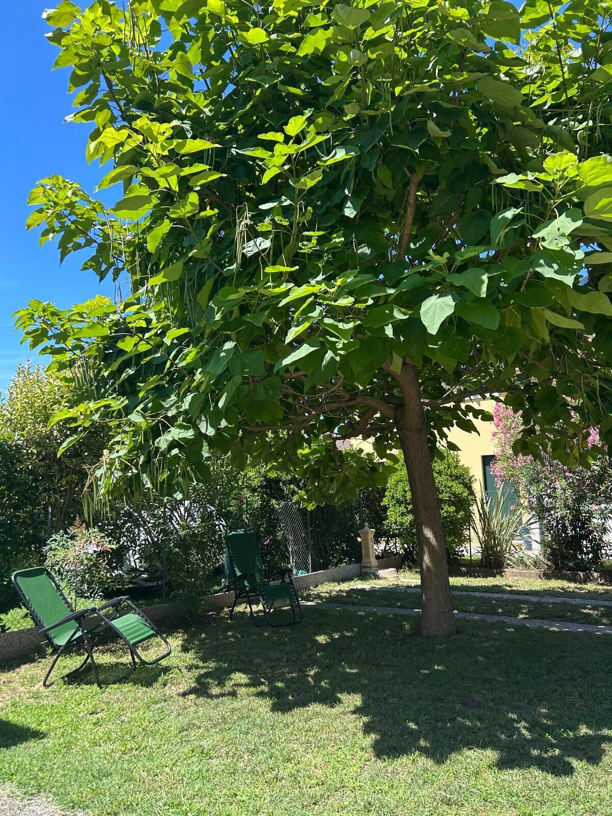 Een tuin met bomen, gazon en twee groene stoelen.