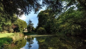 A serene lakeside scene with a small building surrounded by lush greenery and trees reflecting on the water. - Ladye Park (Liskeard)