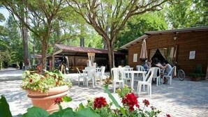 Een buitenzitplaats met witte plastic stoelen en tafels, omringd door potplanten en bomen.