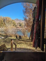 Gypsy Wagon - Tiny House | Free WiFi