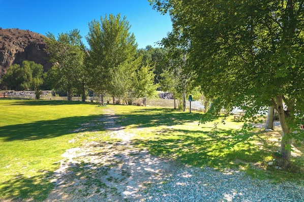 Property grounds - Salmon Gypsy Bed and Breakfast (Salmon)