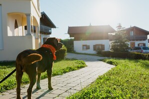 House | View from property - Ferienhaus im Landhausstil im Vital Camp Bayerbach (Bayerbach)