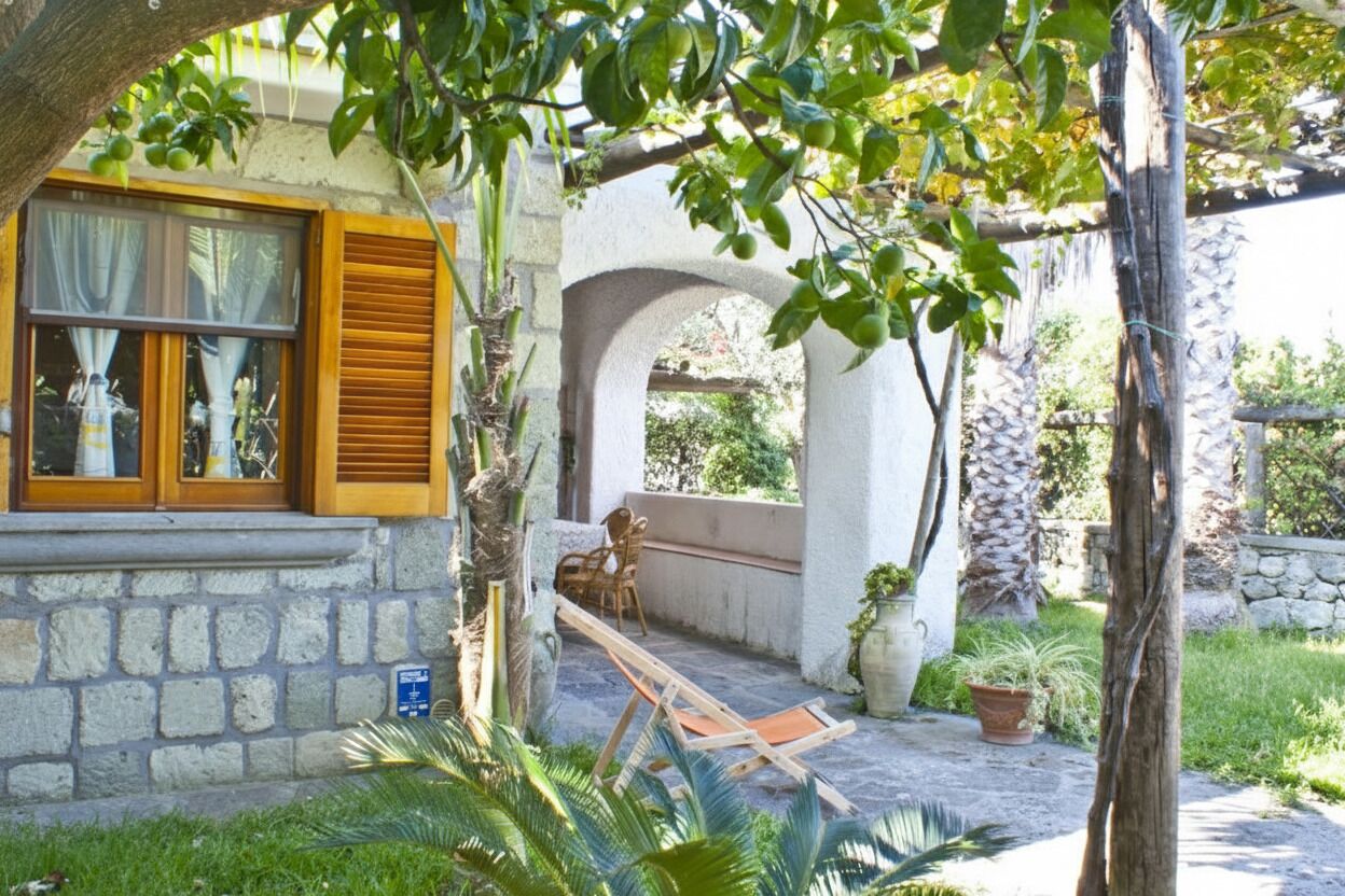 Basic-Apartment, Terrasse | Terrasse/Patio