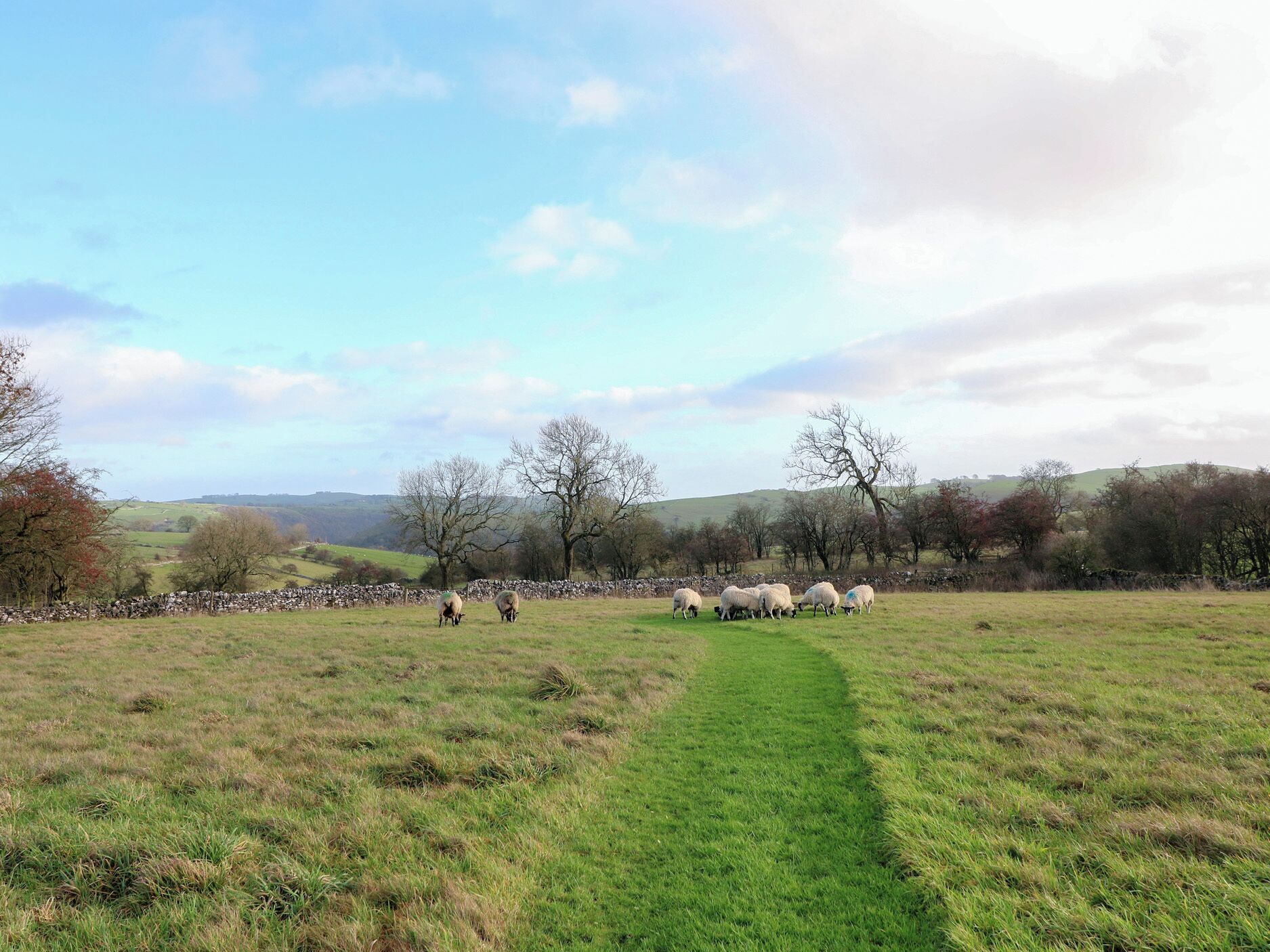 A rural landscape with a stone wall and a grassy field.