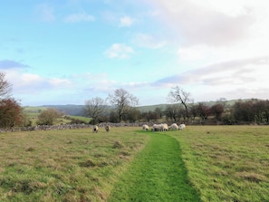 A rural landscape with a stone wall and a grassy field. - Little Barn (Leek)