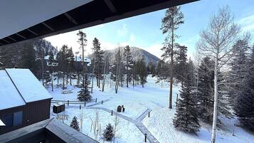 Condo, Multiple Beds, Mountain View (Wild Irishman 2 bed 1 and half bath W) | Property grounds