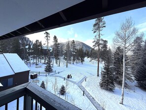 Condo, Multiple Beds, Mountain View (Wild Irishman 2 bed 1 and half bath W) | Property grounds