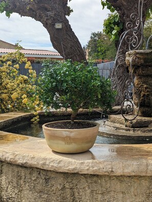 Property grounds - La Fontaine aux Poissons Rouges (Moussac)