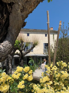 Classic Triple Room | Terrace/patio - La Fontaine aux Poissons Rouges (Moussac)