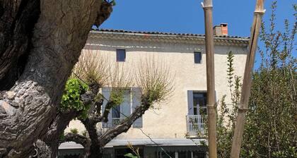 La Fontaine aux Poissons Rouges