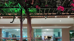 A hotel entrance with a reception desk, a staircase leading to the lobby, and a tree with pink flowers. - Hotel Durma Bem (Castanhal)