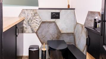 Hair dryer, towels, toilet paper