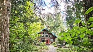 Eine rustikale Holzhütte, umgeben von dichtem Wald, mit einem Schotterweg, der zum Eingang führt.